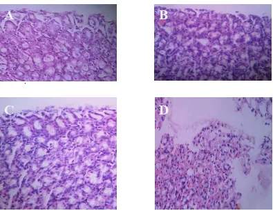 Gambar 4.10 Gambaran Histologis Jaringan Mukosa Lambung Tikus dengan Pewarnaan 