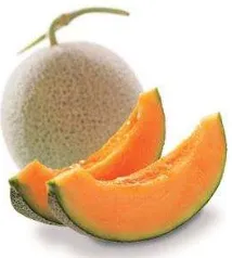 Figure 1.  The fruit of Cantaloupe melon (Cucumis melo L.) 