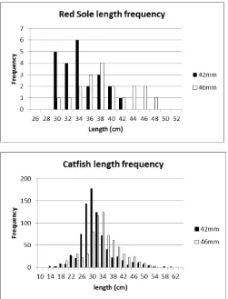 Figure 2.  Length frequency of Red and Black Sole and Catfish caught with the two mesh sizes