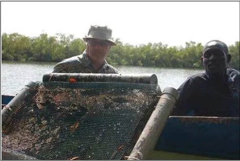 Figure  6.  The modified Taylor float oyster culture basket deployed in the estuary system close to the oyster harvest sites at Kubuneh 