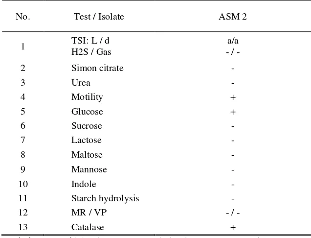Table 5 Based Genetic distance of endophytic bacteria isolated from red betel root (ASM 2) acording the bacteria reference (standard) which is accessible from GenBank
