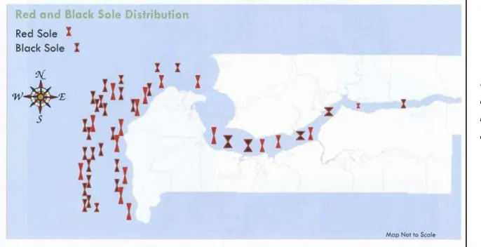 Figure 17. Local 