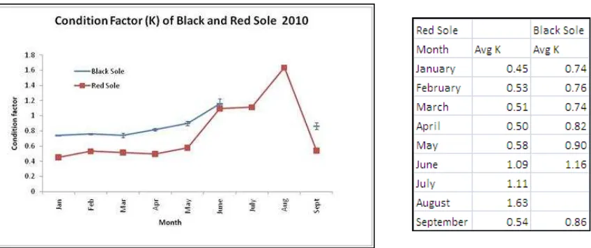 Figure 18 and Table 1.  Data collected from Atlantic Seafood on monthly sole landings