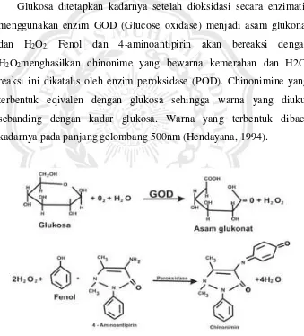 Gambar 2. Reaksi pembentukan warna pada penetapan kadar glukosa darah metode enzimatik (Diasys, 1999)