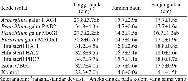 Gambar 3. Bobot basah dan kering bibit cabai setelah pemberian cendawan endofit 