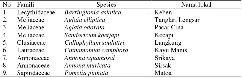 Tabel 1 Hasil inventarisasi tanaman berkhasiat insektisida botanidi Kebun Koleksi Tanaman Langka (Arboretum) Universitas Gunadarma 