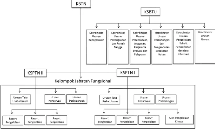 Gambar 2 Pengembangan struktur organisasi BTNAP 