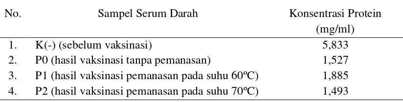 Tabel 3. Konsentrasi Protein Hasil Pemurnian Menggunakan Amonium Sulfat (NH4)2SO4 dari Serum Darah Kelinci Sebelum dan Sesudah Vaksinasi 