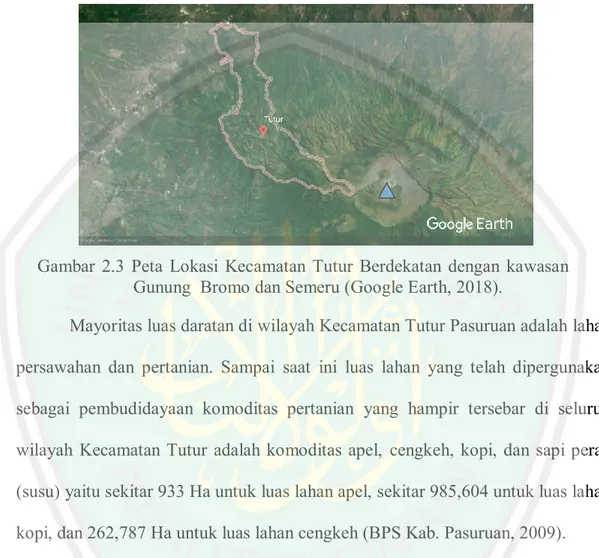 Gambar  2.3  Peta  Lokasi  Kecamatan  Tutur  Berdekatan  dengan  kawasan  Gunung  Bromo dan Semeru (Google Earth, 2018)