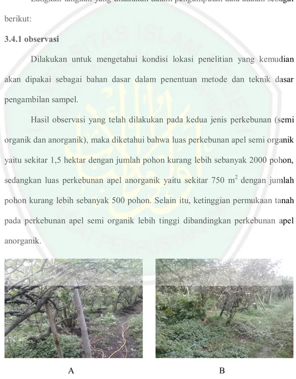 Gambar 3.1 Lokasi Penelitian. A. Perkebunan Apel Semi Organik,  B. Perkebunan  Apel Anorganik (Dokumentasi Pribadi, 2018)