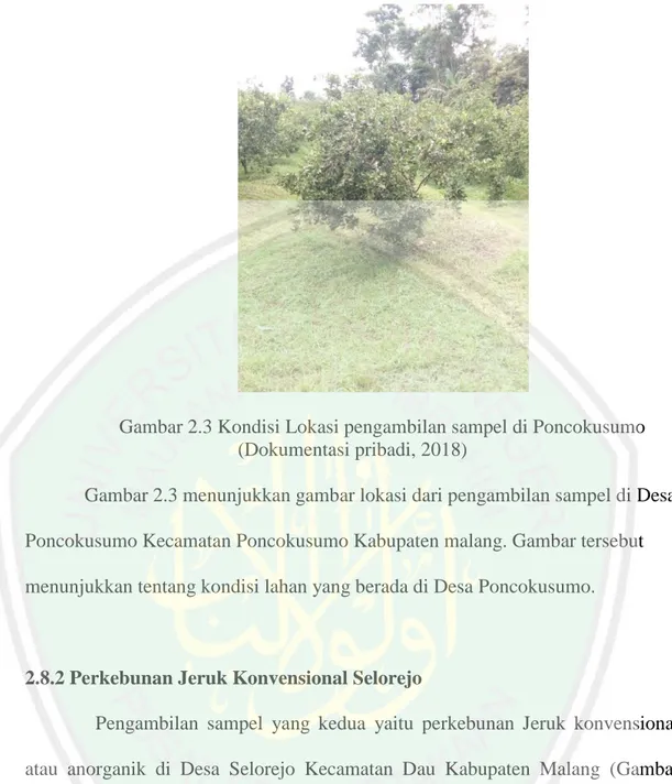 Gambar 2.3 Kondisi Lokasi pengambilan sampel di Poncokusumo  (Dokumentasi pribadi, 2018) 