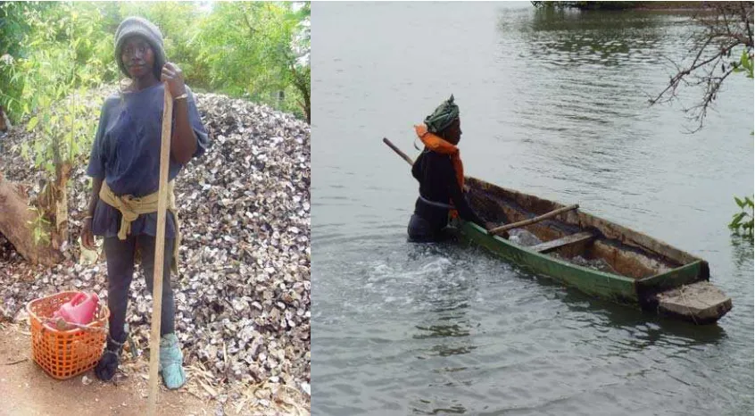 Fig. 11:  a) Oyster harvester dressed for a trip b) Harvester bails water out of canoe for the trip 