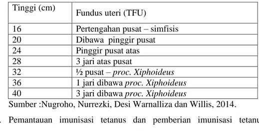 Tabel 2.1 TFU Menurut Penambahan Tiga Jari  Tinggi (cm) 