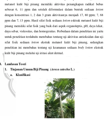 Gambar 2.1Pinang  (Areca catechu L.) Desa Petuguran, 