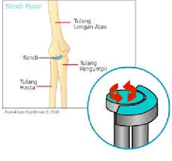 Gambar 16. Sendi pelana 
