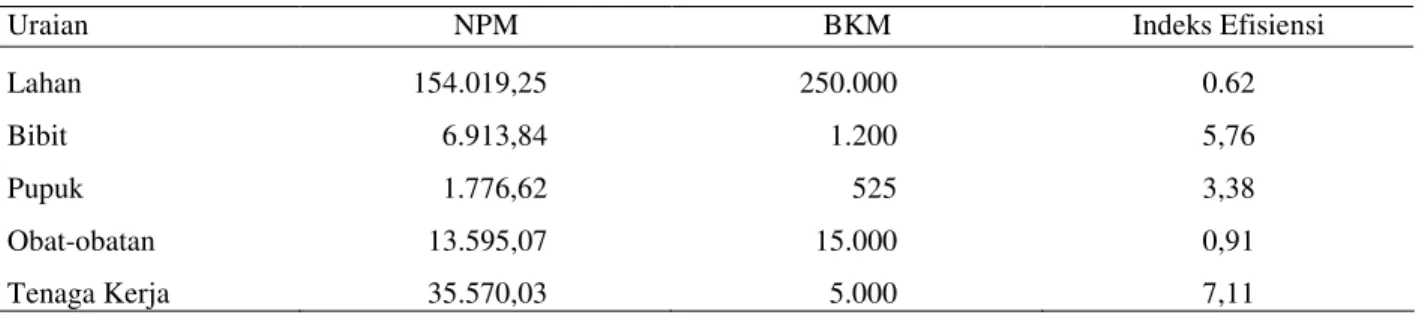 Tabel 14.  Indeks Efisiensi Penggunaan Input pada Usahatani Kentang di Kecamatan Kayu Aro, 2002 