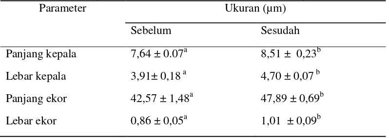 Tabel 4.2. Hasil pengamatan Morfometris Spermatozoa Kambing  