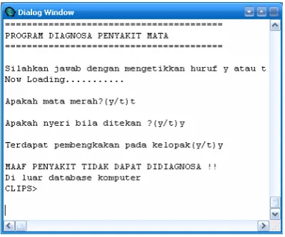 Gambar 5. Diagnosa di luar data base komputer 