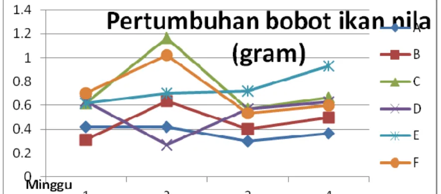 Gambar 1.  Pertumbuhan Bobot (gram) Ikan Nila dengan Perlakuan Feeding Rate dan                      Feeding Frekuesi Berbeda (A= 4/3; B=4/4; C=5/3; D= 5/4; E=6/3; F=6/4) 
