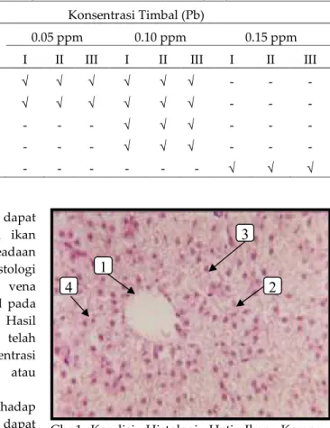 Tabel  1.  Hasil  Pengamatan  pada  Jaringan  Normal  dan  Kerusakan  yang  Terjadi  pada  Hati  Ikan       Kerapu Bebek (Cromileptes altivelis) dengan Perlakuan Konsentrasi Pb yang Berbeda  