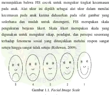 Gambar 1.1. Facial Image Scale