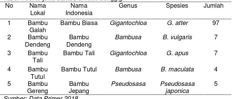 Tabel 1 Jenis-jenis bambu di Hkm Senggigi 