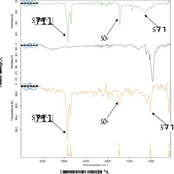 Gambar 5. Spektra hidrogel PVAM, tapioka, dan PVAM-g-TapiokaBilangan Gelombang (cm-1)Transmitans (%)C‒H sp3C=OC‒H sp3C=O C‒OC‒O
