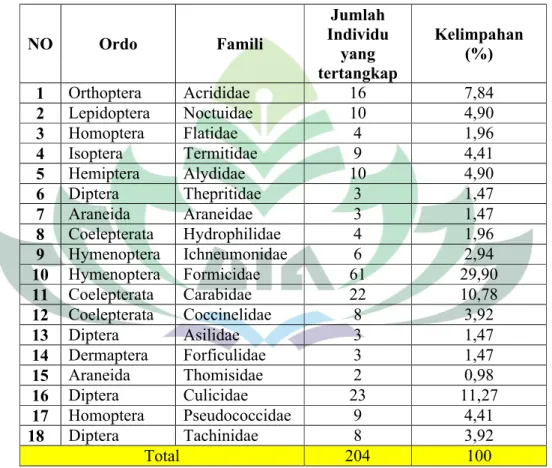 Tabel 8. Kelimpahan Serangga Pada Tanaman Famili Myrtaceae di  UIN Raden Intan Lampung
