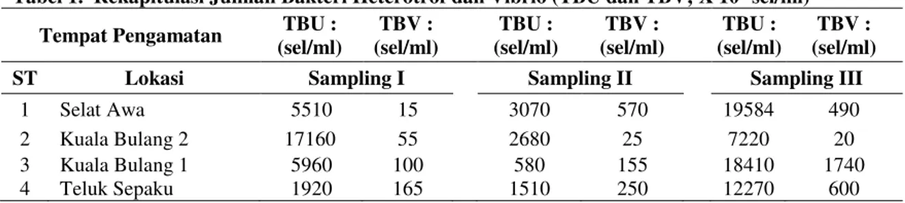 Tabel 1.  Rekapitulasi Jumlah Bakteri Heterotrof dan Vibrio (TBU dan TBV; X 10 4  sel/ml) Tempat Pengamatan  TBU : 