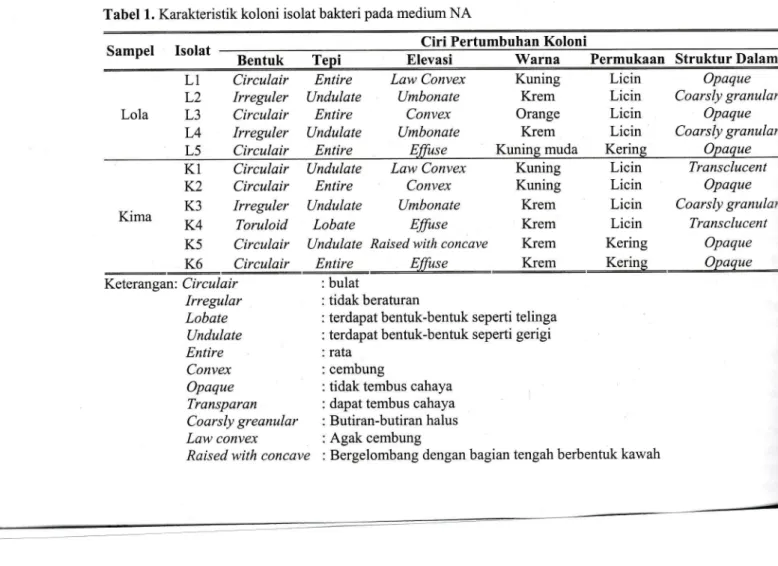 Tabel  1.  Karakteristik  koloni  isolat bakteri  pada  medium  NA