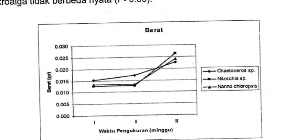 Gambar  3. Grafik pertambahan  berat  rata-rata  juwana lola pada setiap  seiama  penelitiar: