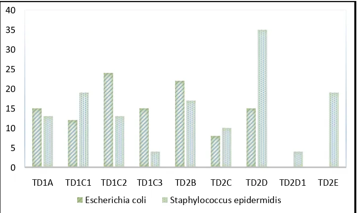 Gambar 3 Rata-rata diameter zona hambat isolat endofit (mm) 