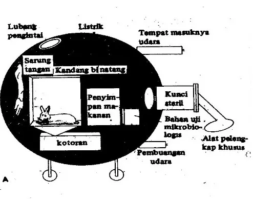 Gambar 1. Diagram skematik suatu unit isolator bebas kuman. Bagian dalamnya