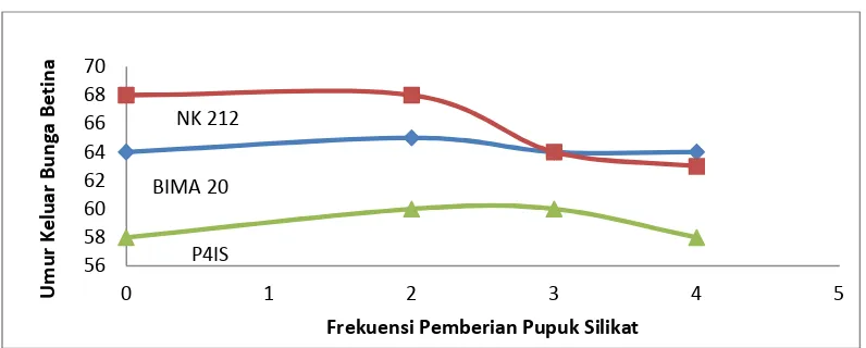 Gambar 1. Grafik hubungan antara frekuensi pemberian pupuk silikat  