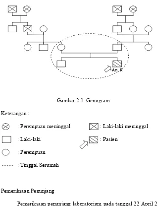Gambar 2.1. Genogram 