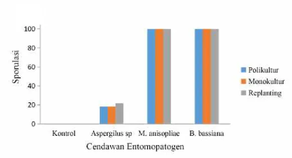 Tabel 3. Rata-rata mortalitas dan Lt 50 larva T. molitor setelah perlakuan cendawan entomopatogen.