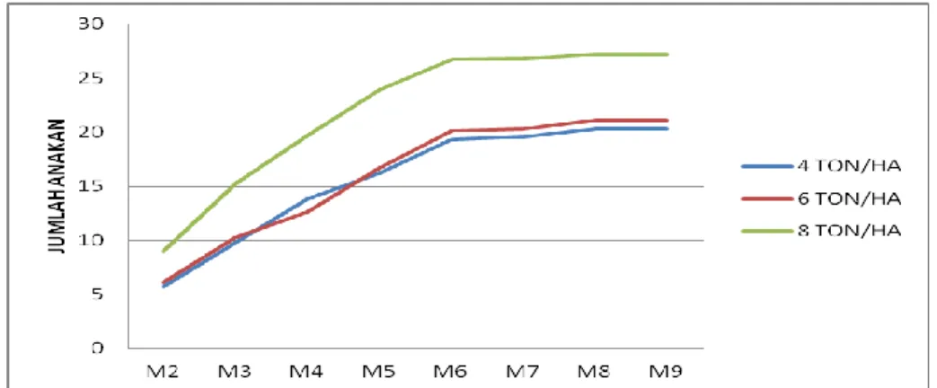 Gambar 4: Grafik pertumbuhan jumlah anakan pada galur SF5-49