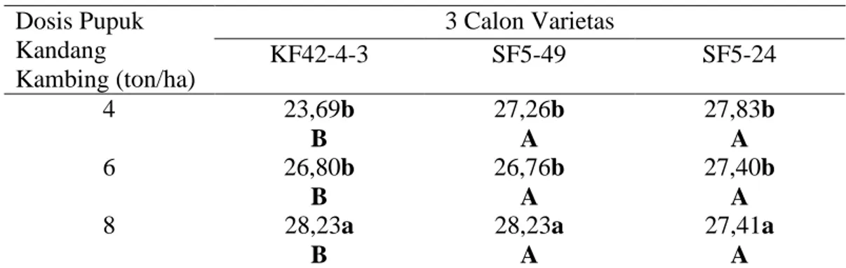 Tabel  5.  Menunjukkan  pemberian  berbagai  jenis  dosis  pupuk  kandang  kambing  terhadap  3  calon  varietas  berbeda    nyata  pada  panjang  malai    galur  H