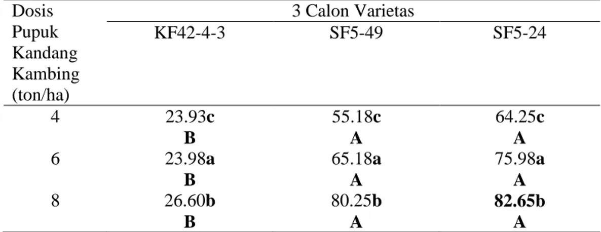Tabel    7.  Karakter  Bobot  Gabah  Total  per  Rumpun  Pada  Berbagai  Dosis  Pupuk   Kandang Kambing Terhadap 3 Calon Varietas 