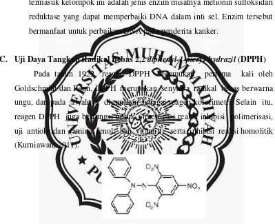 Gambar 6. Struktur DPPH (Kurniawan, 2011)