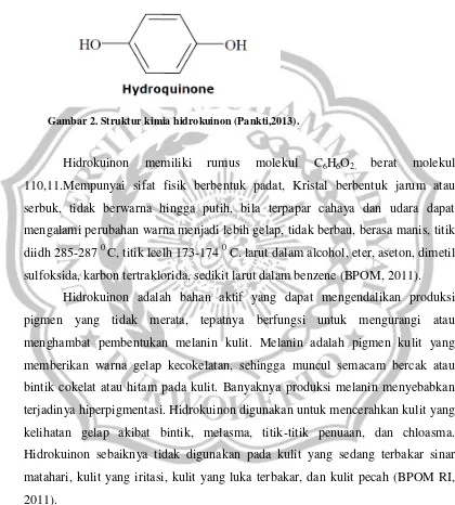 Gambar 2. Struktur kimia hidrokuinon (Pankti,2013). 