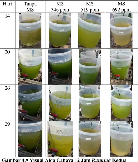 Gambar 4.9 Visual Alga Cahaya 12 Jam Running Kedua  Hal  ini  menunjukkan  bahwa  waktu  hidup  alga  dengan  kondisi  di  dalam  limbah  terkontaminasi  minyak  solar  adalah  selama  6  hingga  7  hari
