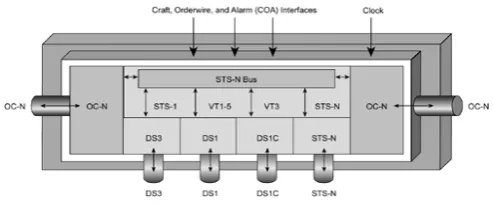 Gambar 2.1 SONET Terminal Multiplexer SONET 