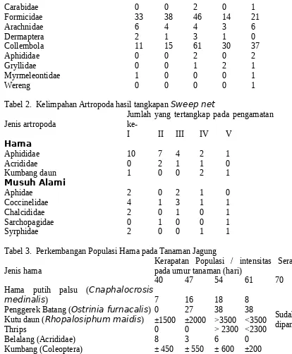 Tabel 2.  Kelimpahan Artropoda hasil tangkapan Sweep net