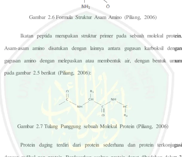 Gambar  2.6 Formula  Struktur  Asam  Amino  (Piliang,  2006) 