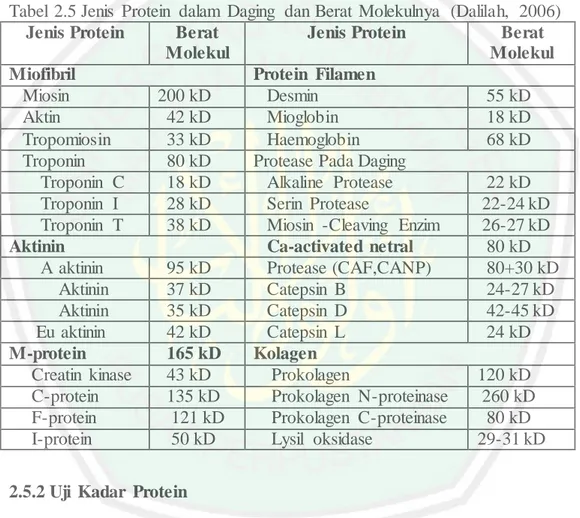 Tabel  2.5 Jenis  Protein  dalam  Daging  dan Berat  Molekulnya  (Dalilah,  2006)  Jenis Protein  Berat 