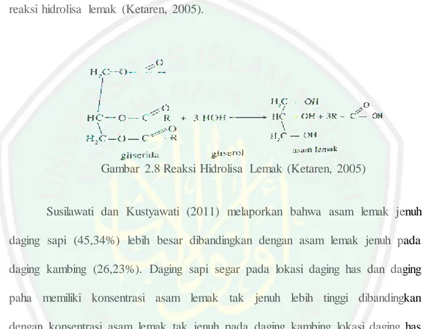 Gambar  2.8 Reaksi  Hidrolisa  Lemak  (Ketaren,  2005) 