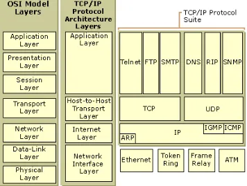 Gambar 1.1 Layer-layer TCP/IP 