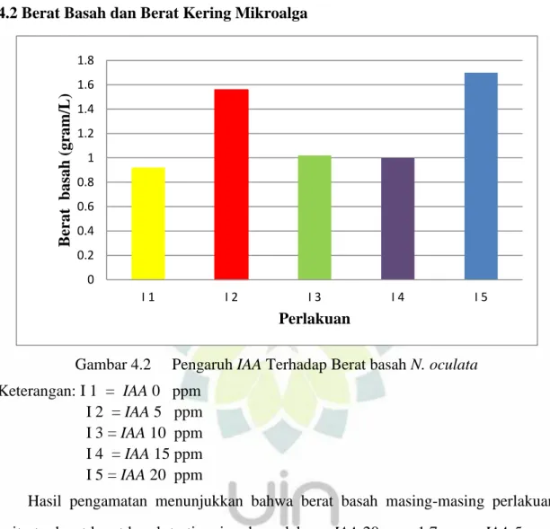 Gambar 4.2   Pengaruh IAA Terhadap Berat basah N. oculata  Keterangan: I 1  =  IAA 0   ppm 