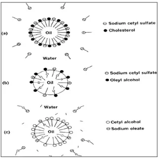 Gambar 2.3 Gambaran kombinasi bahan pengemulsi pada antarmuka minyak-air  suatu emulsi (Martin et al, 1993)